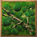 Living Art Framed - Call for price