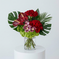 Passion Blooms