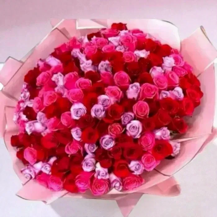 Pretty in Pink