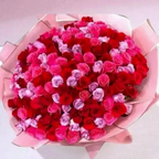 Pretty in Pink