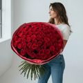 Russian Red