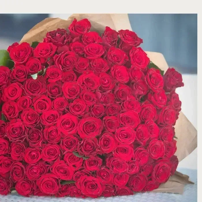300 Gorgeous Reds