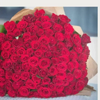 300 Gorgeous Reds