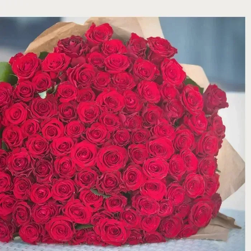 300 Gorgeous Reds