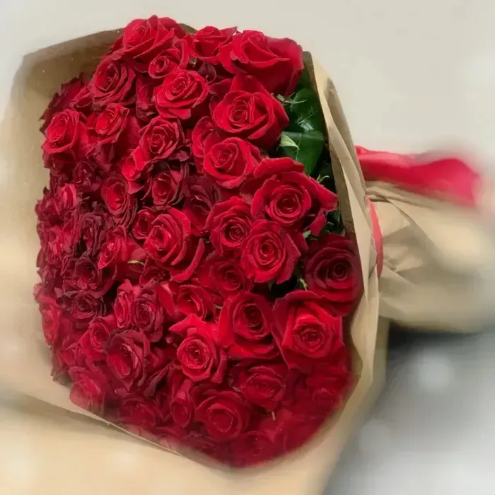 Red Rose Collection