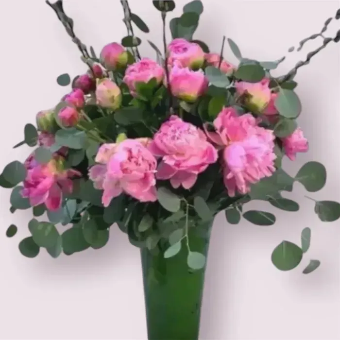 Peony in Paradise
