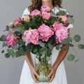 Peony in Paradise