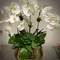 Multi Silk Orchid