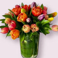 Tulips for Her