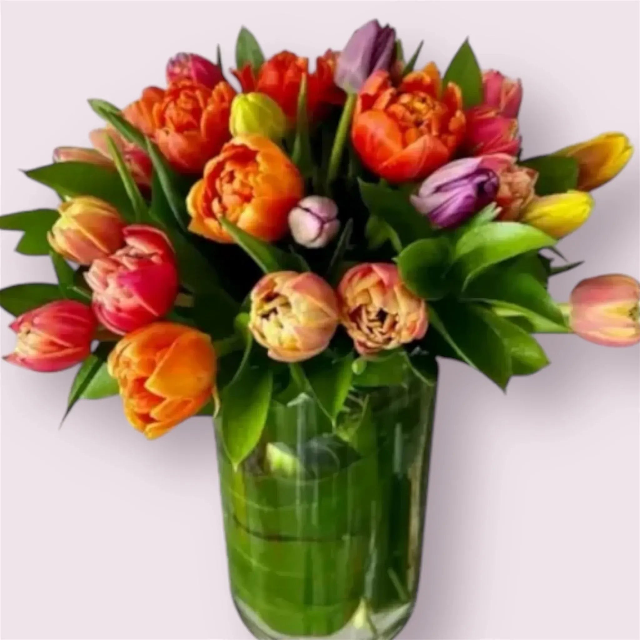 Tulips for Her