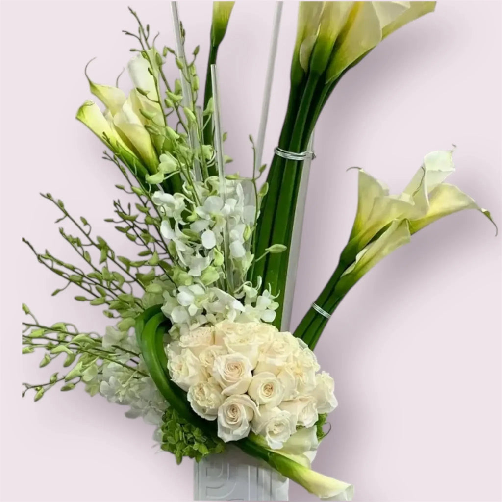 Modern White