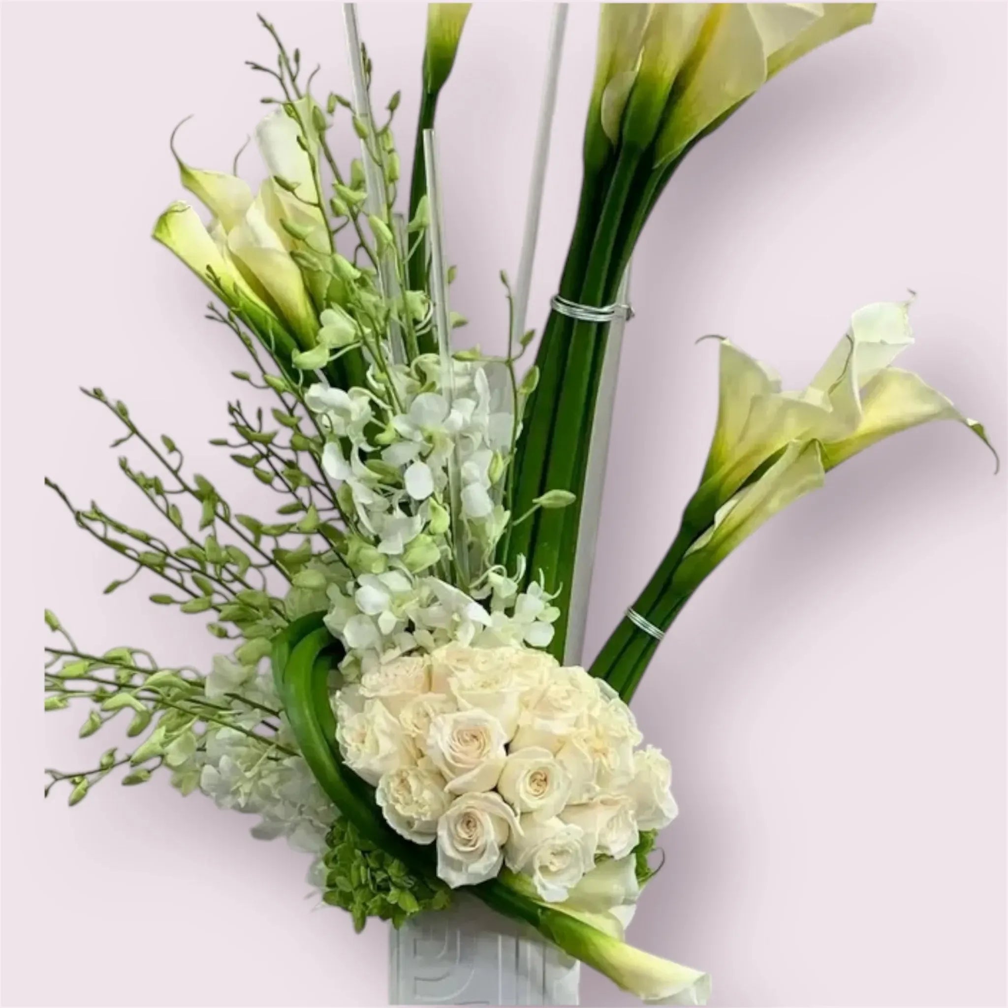Modern White