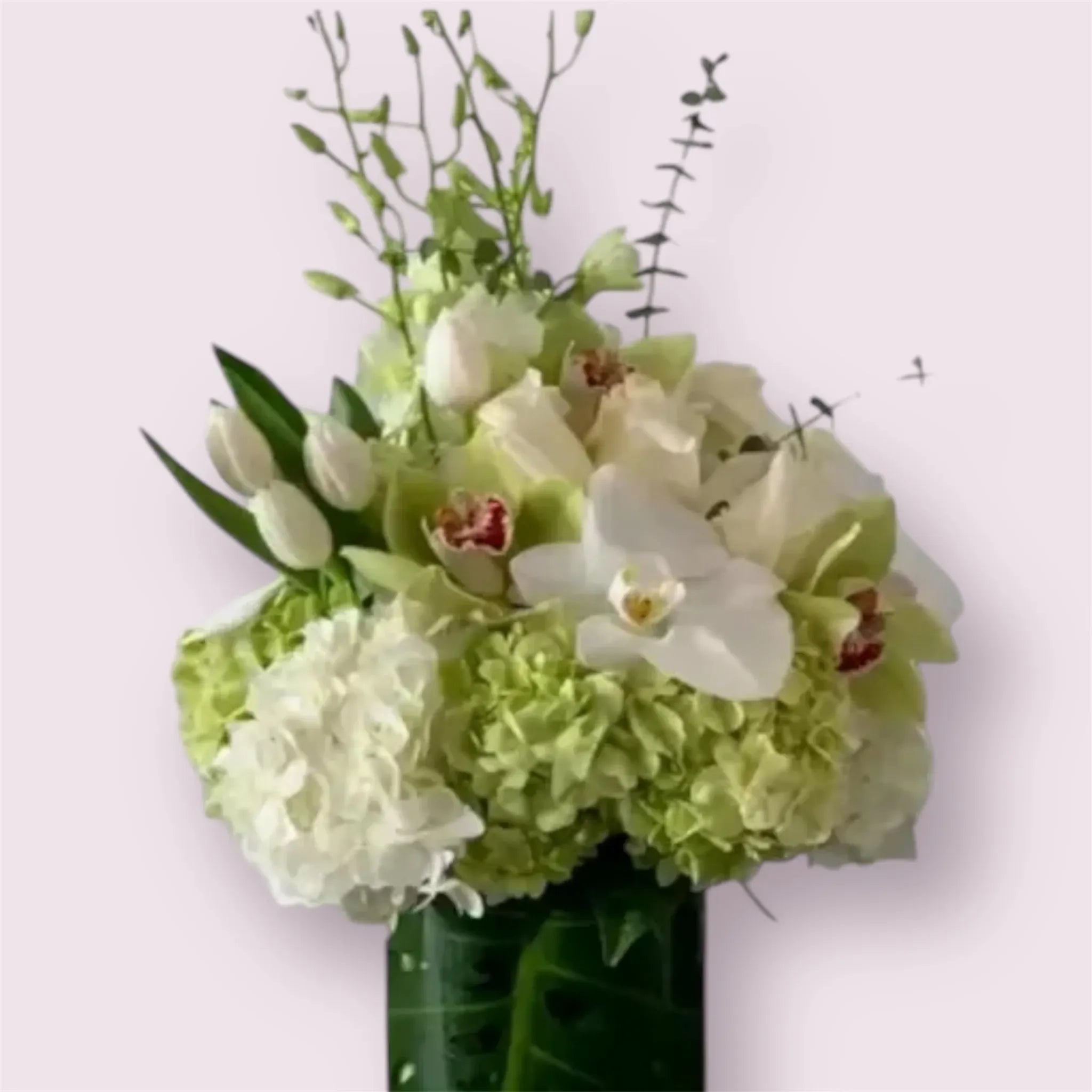 Green and White Delight