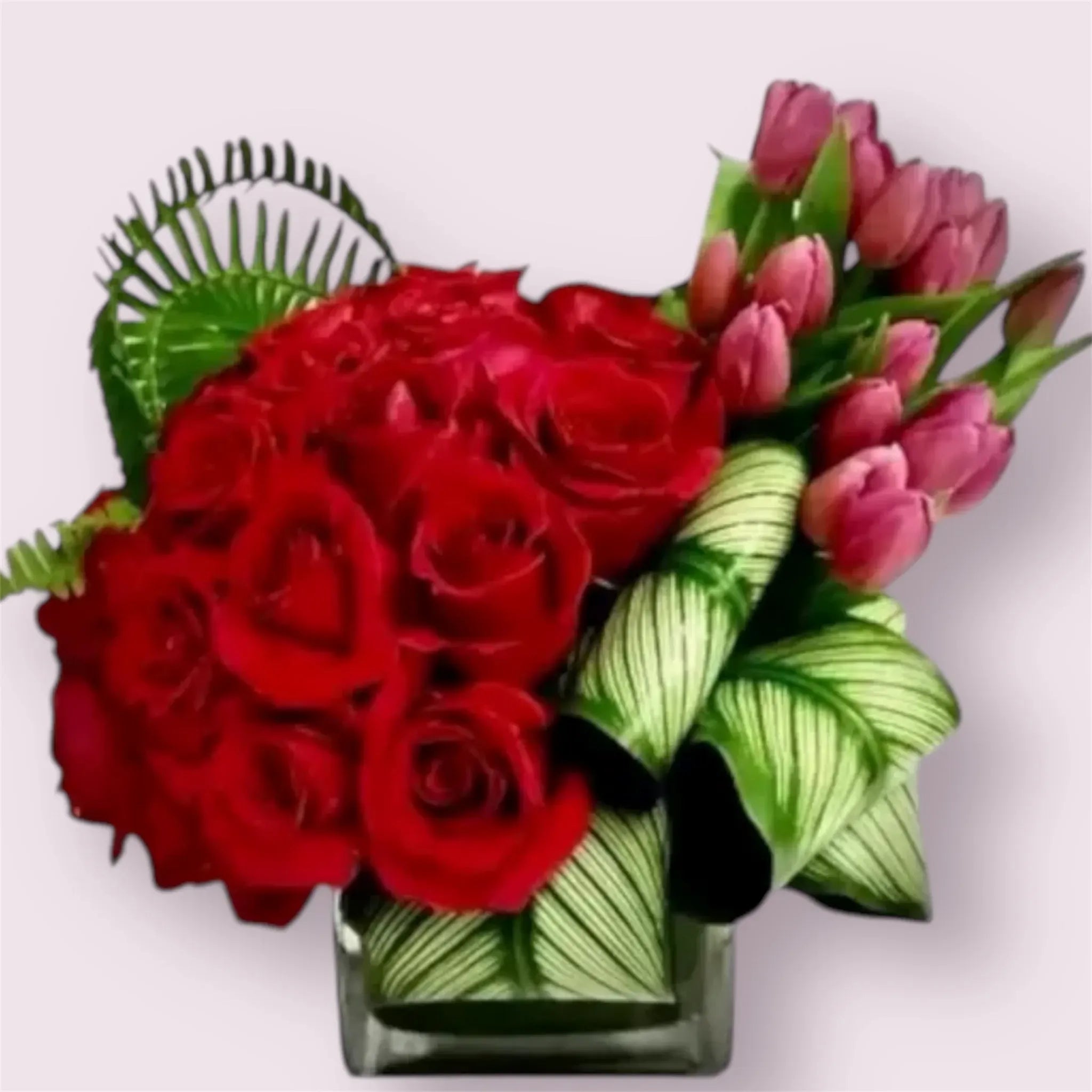 Red & Pink