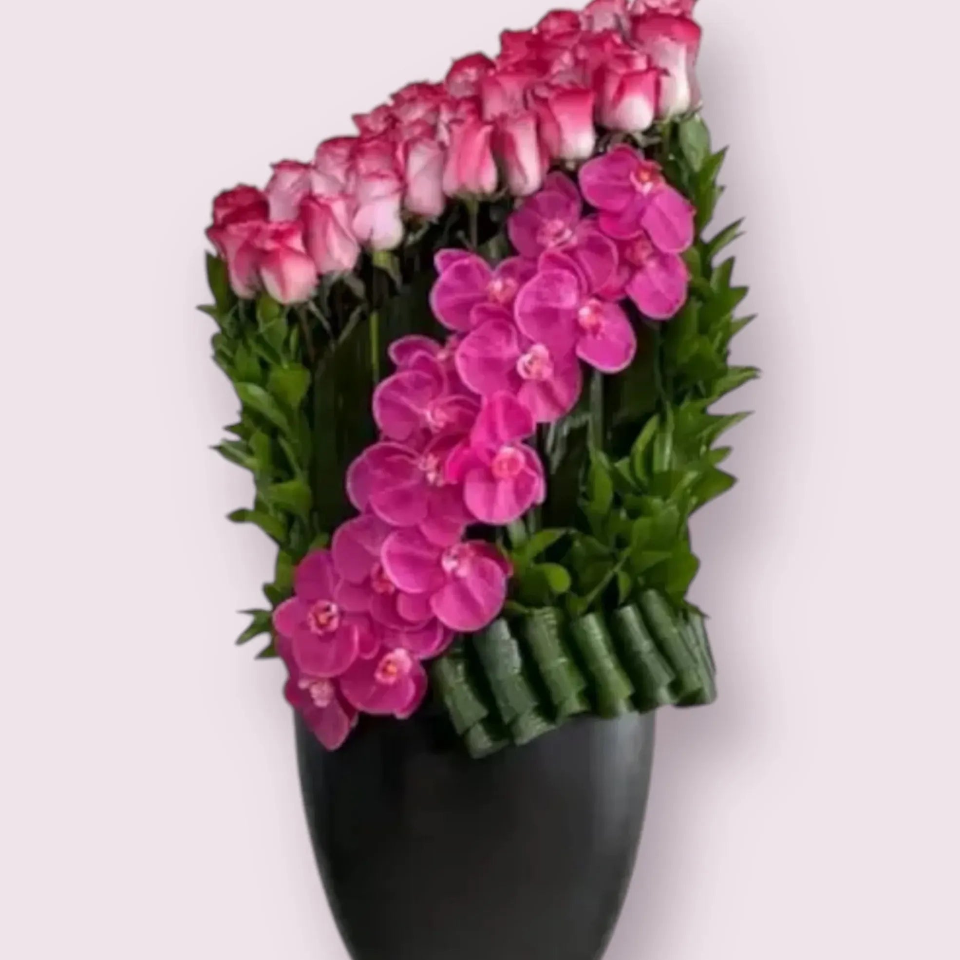 Pink Wonder