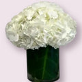 Simply Hydrangeas