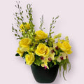 Yellow & Green