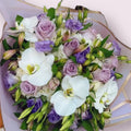 Lavender Dream