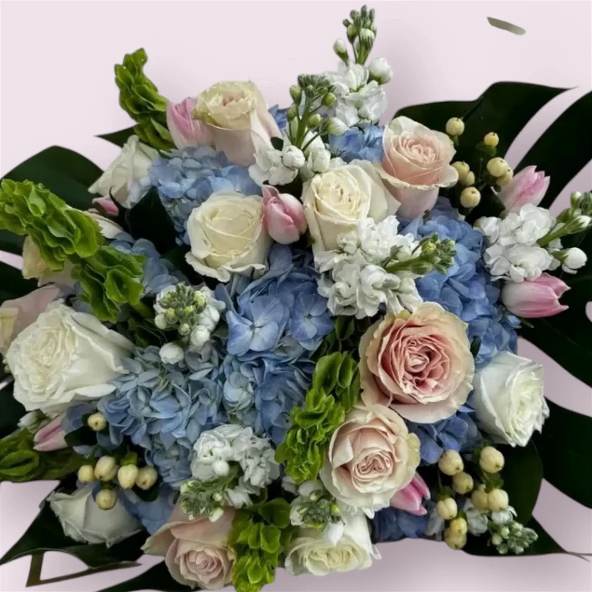 Blue & Pink