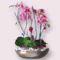 Orchid Goddess