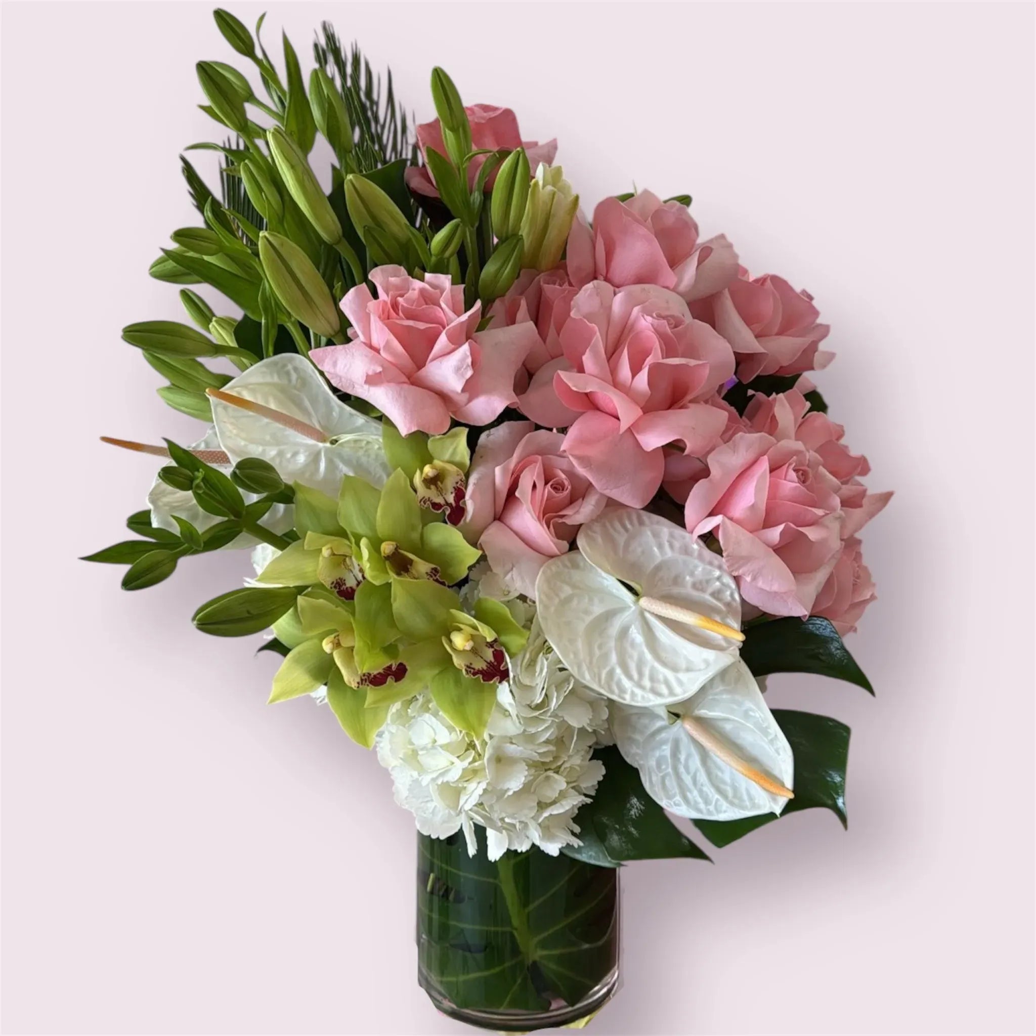 Spring Blooms