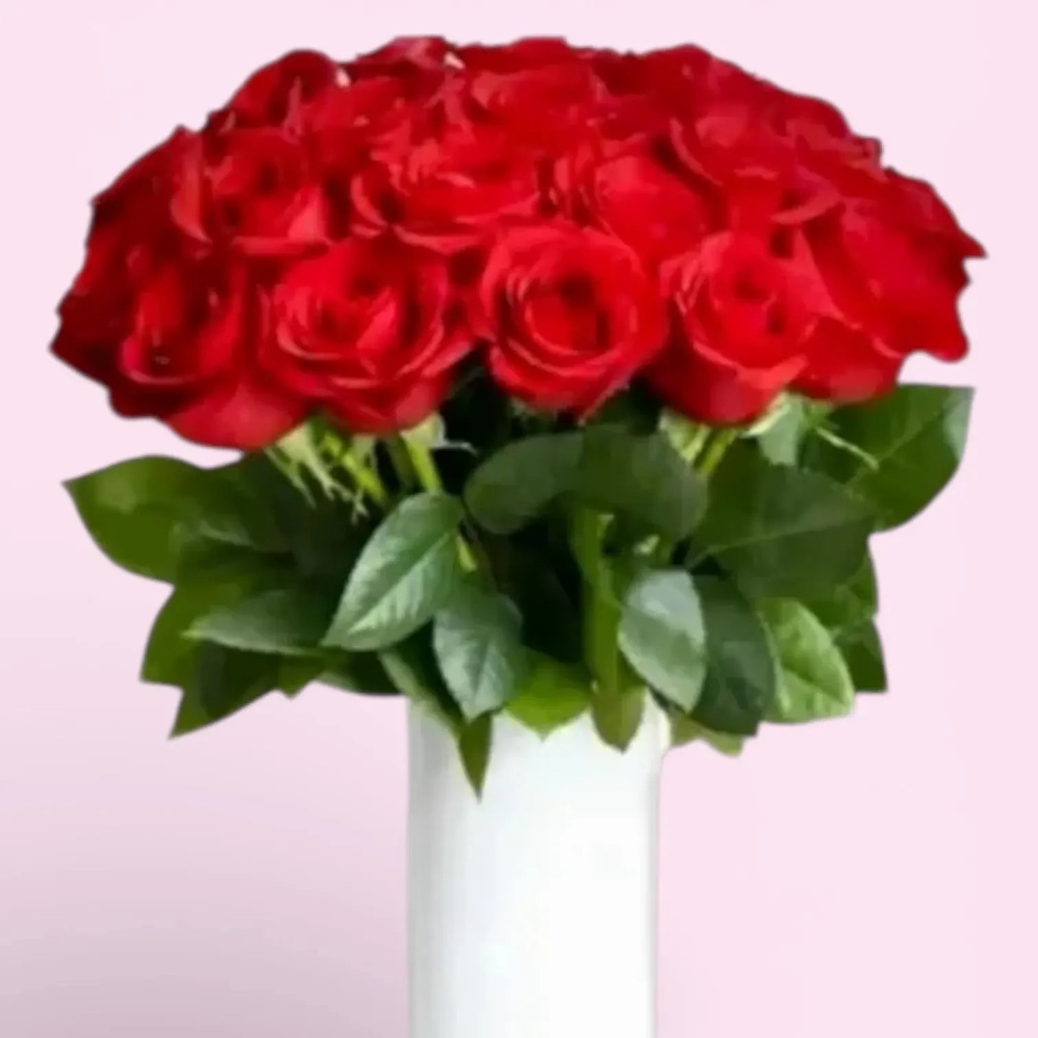 25 Ball Shaped Red Roses in a vase