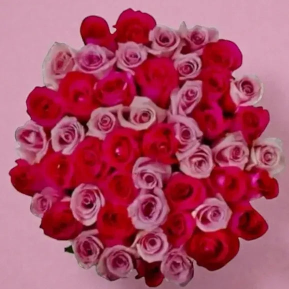 Pink Paradise