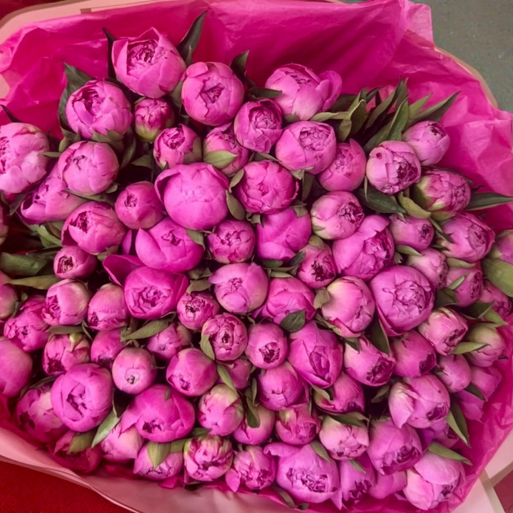 Grand Peony Bouquet