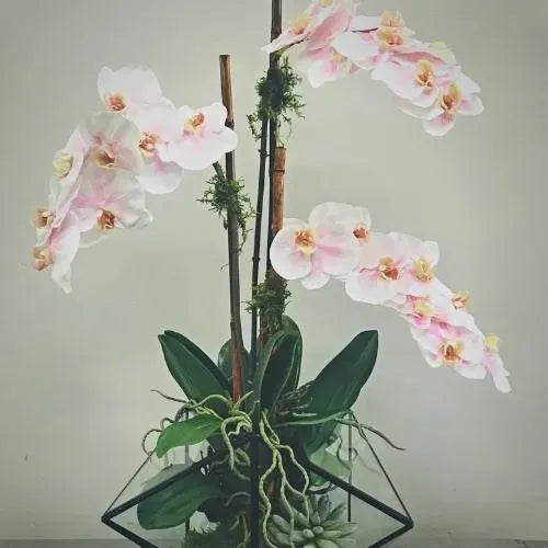 Geometric Hint of Pink Orchid