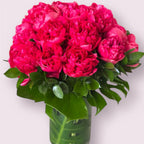 Peony Magic