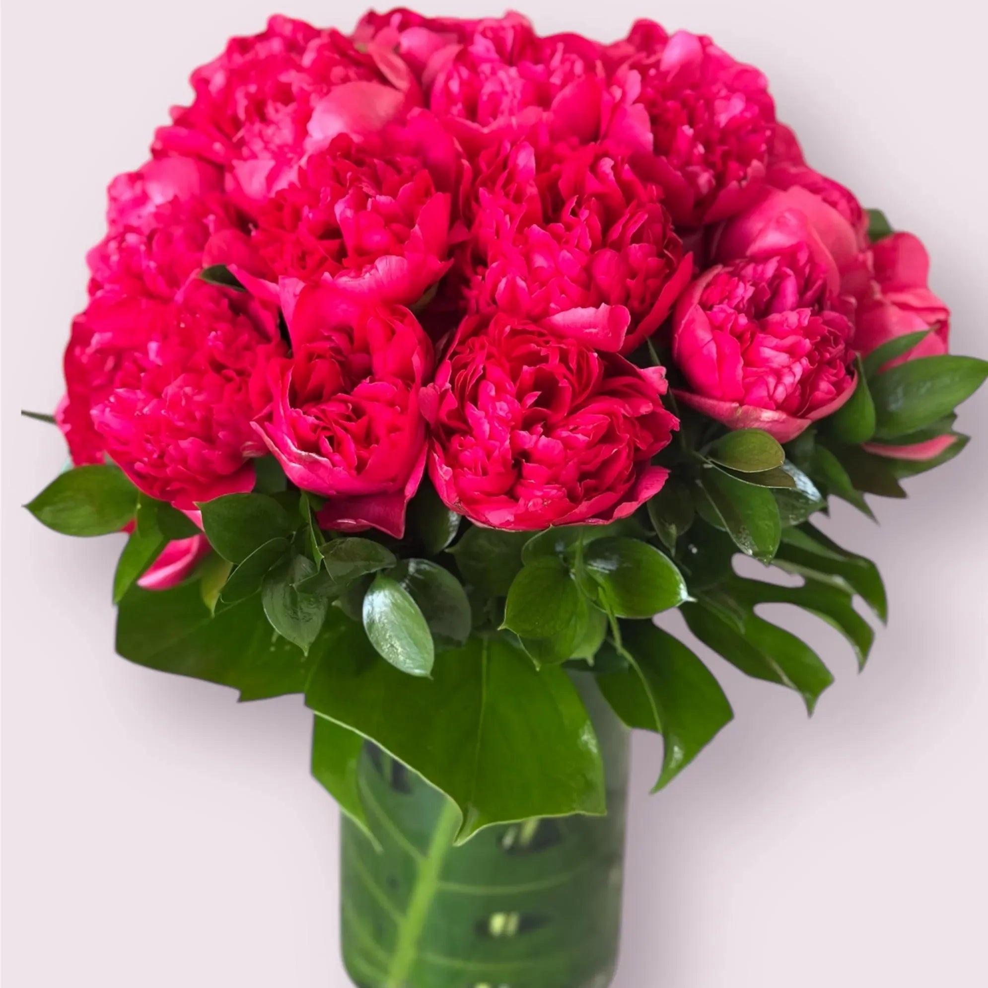 Peony Magic