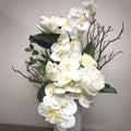 Silky White Orchid